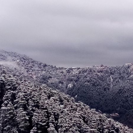 Shimla Regency Ξενοδοχείο Εξωτερικό φωτογραφία
