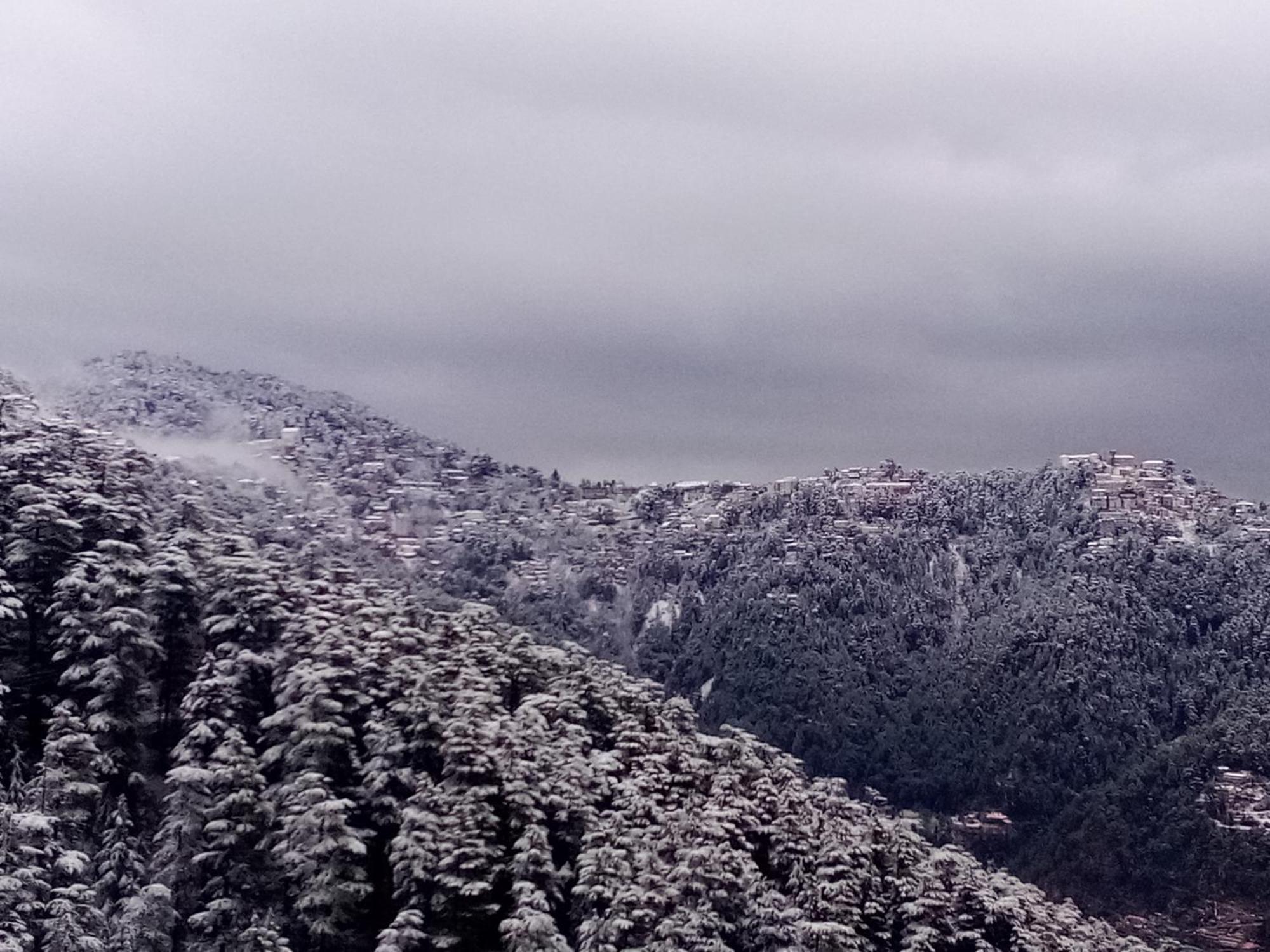 Shimla Regency Ξενοδοχείο Εξωτερικό φωτογραφία