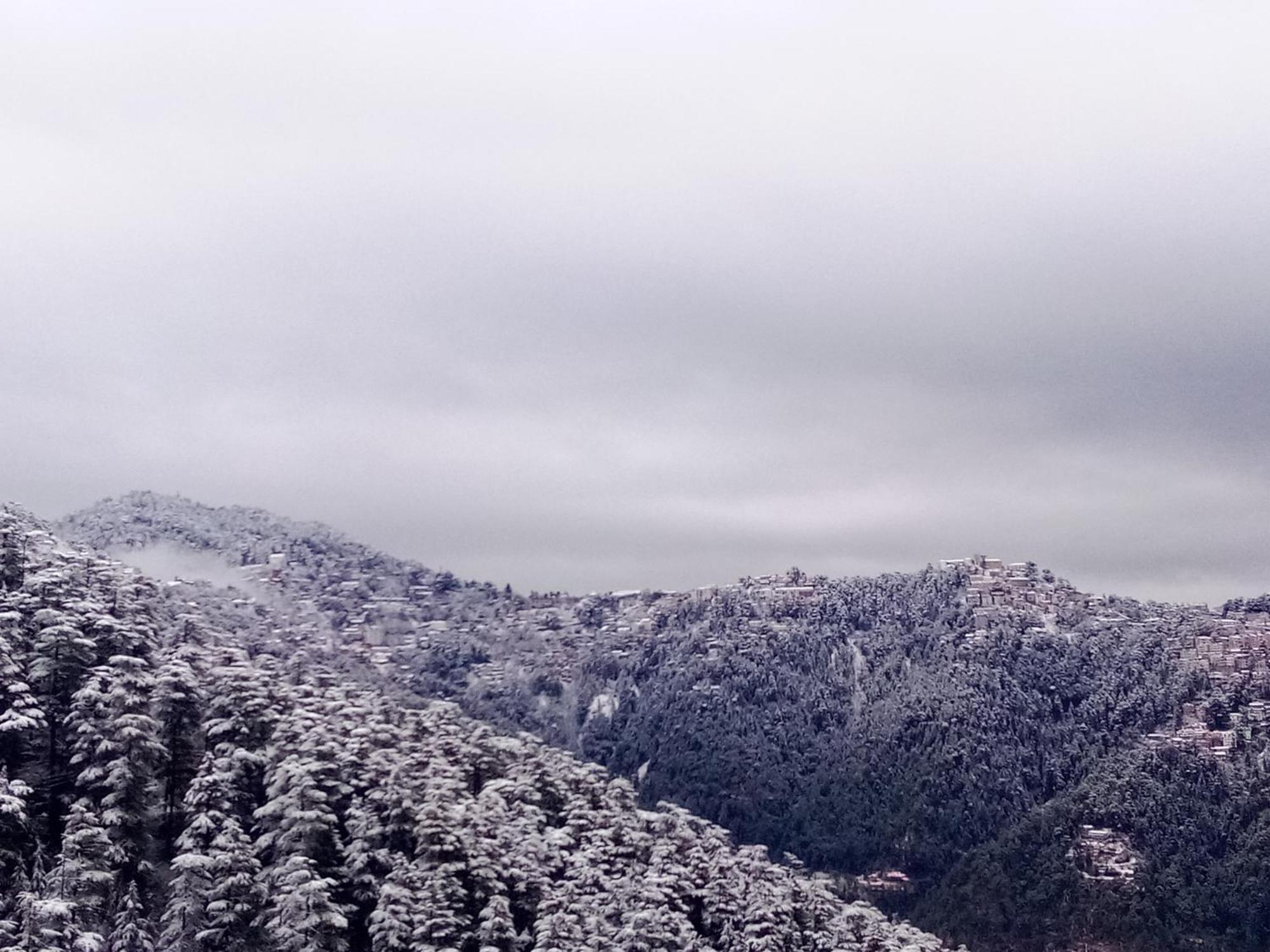Shimla Regency Ξενοδοχείο Εξωτερικό φωτογραφία